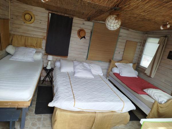 EXCLUSIVITE -PLEVIN- Charmante maison de 4 pièces sur sous-sol surélevé avec grand jardin arboré/paysager et plusieurs dépendances