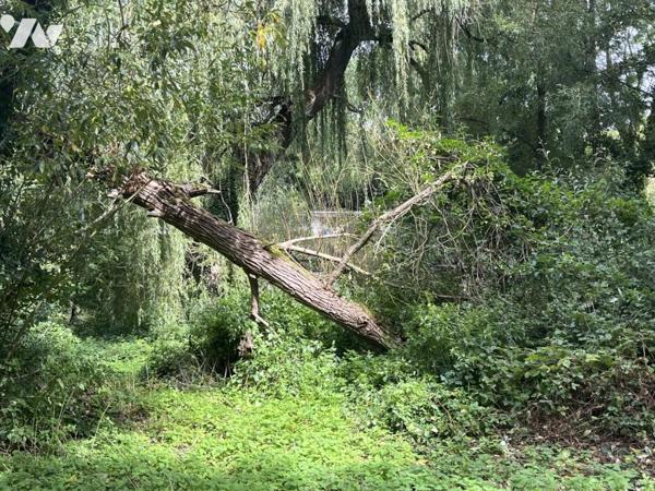 TERRAIN DE LOISIR EN BORD DE SOMME AVEC ETANG
