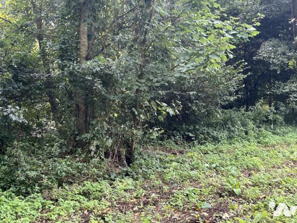 TERRAIN DE LOISIR EN BORD DE SOMME AVEC ETANG