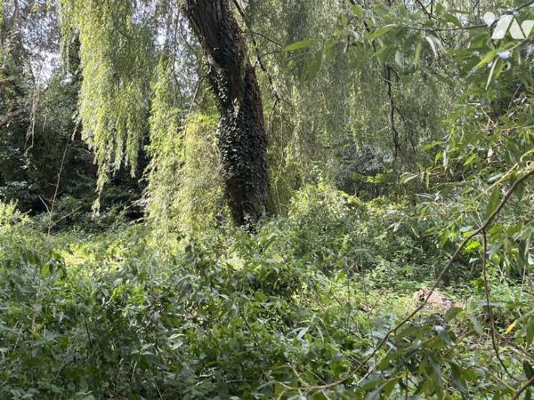 TERRAIN DE LOISIR EN BORD DE SOMME AVEC ETANG