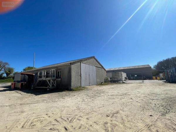 Fonds et/ou murs commerciaux à vendre à La Hague dans la Manche (50440), ref : 50108-4635