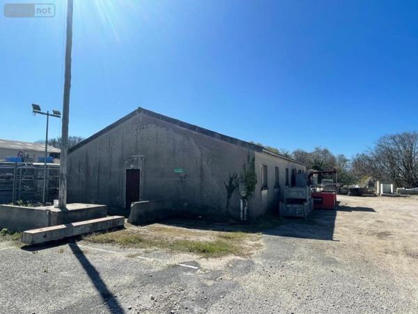 Fonds et/ou murs commerciaux à vendre à La Hague dans la Manche (50440), ref : 50108-4635