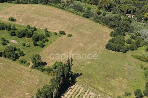 Parcelle agricole 9 300 m² - SOMMIERES (GARD)