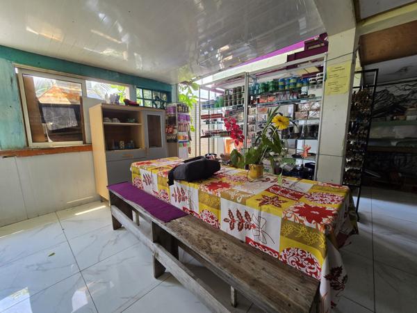 🏠 PÉPITE À BASSE TERRE : Potentiel XXL & Vue Montagne !