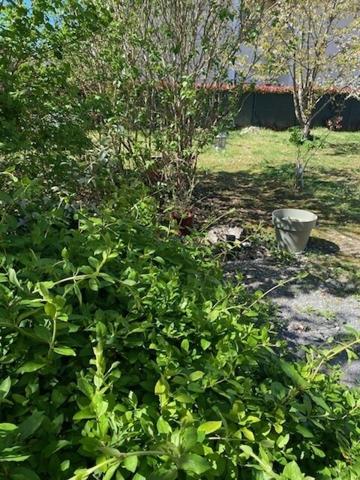 Maison proche Gare Fontainebleau