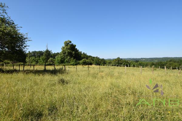 Propriété à rénover à Busserolles 24360