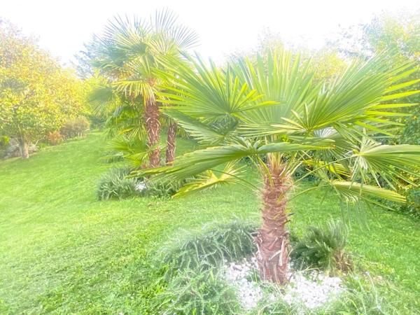 03800 GANNAT PROPRIÉTÉ AVEC PARC NATUREL AVEC VILLA 6 PIÈCES AVEC PARC NATUREL, AVEC GARAGES 3 PLACES AVEC PLACE DE PARKING AVEC TERRASSE, AVEC PICINE ET COURT DE TENNIS (HELIPORT)