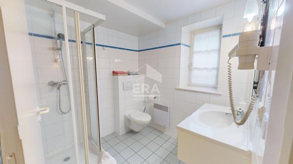 Immeuble - Cosne Cours Sur Loire 450 m2
