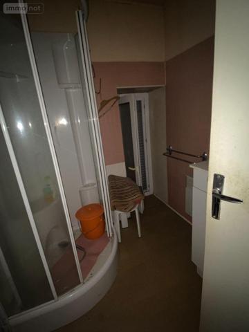 Maison à vendre à Saint-Bonnet-de-Salers dans le Cantal (15140), ref : 15060/1126