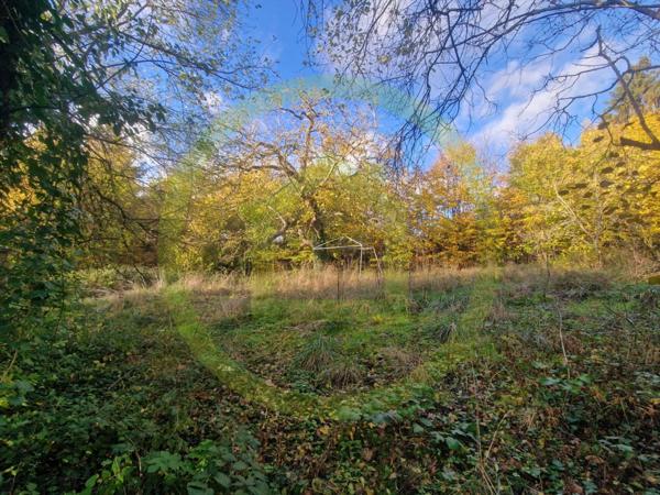 Terrain à BETHEMONT LA FORET (95840)