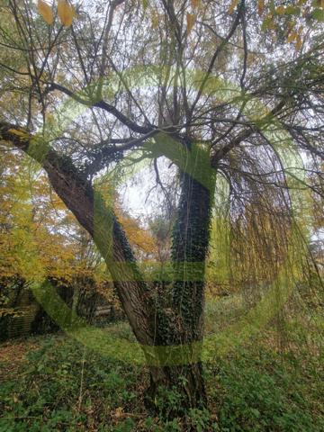 Terrain à BETHEMONT LA FORET (95840)