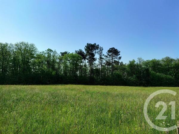 Terrain à vendre  3852 m2 MARCILLAC ST QUENTIN - 24