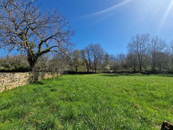 Maison ancienne - Saint-cyprien Perigord Noir, Projet en pierres du pays, en cours de renovation et début d'extension sur joli terrain clos de murets