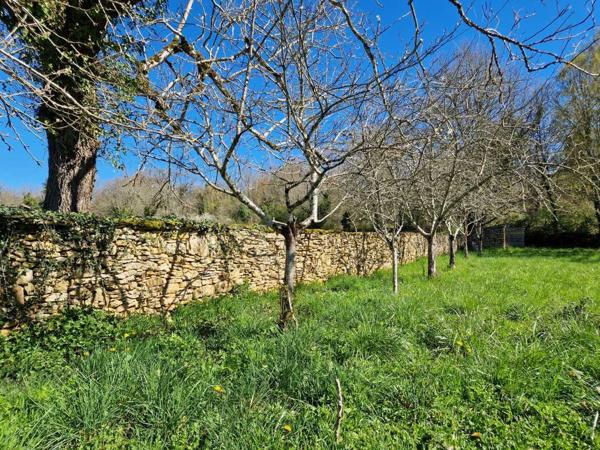 Maison ancienne - Saint-cyprien Perigord Noir, Projet en pierres du pays, en cours de renovation et début d'extension sur joli terrain clos de murets
