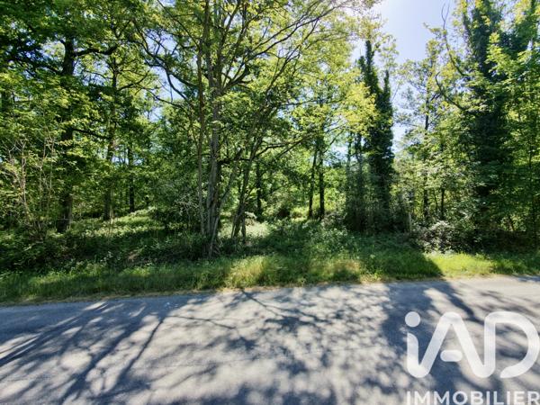 Terrain à vendre 17 314 m² Ouzouer-des-Champs
