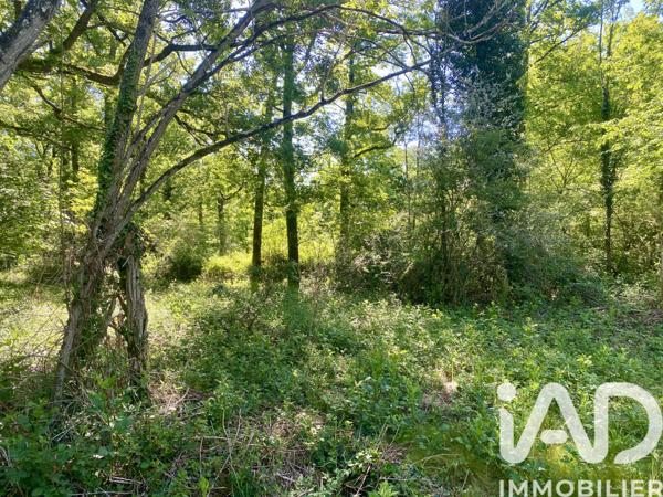 Terrain à vendre 17 314 m² Ouzouer-des-Champs