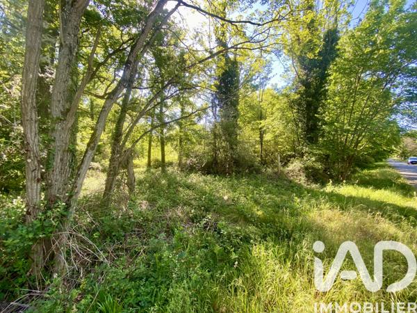 Terrain à vendre 17 314 m² Ouzouer-des-Champs
