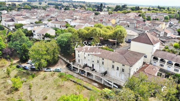 Ensemble Immobilier de 953 m2 avec parc arboré de 6598 m2 au bord de la Baïse – Lavardac centre