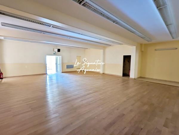 Ensemble Immobilier de 953 m2 avec parc arboré de 6598 m2 au bord de la Baïse – Lavardac centre