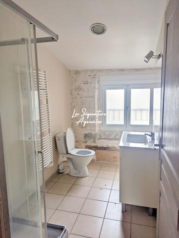 Ensemble Immobilier de 953 m2 avec parc arboré de 6598 m2 au bord de la Baïse – Lavardac centre