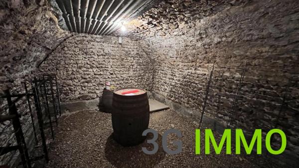 Vente / Maison avec dépendance