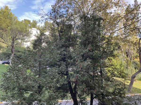 Appartement 1 pièce - 21 m² Exclusivité efficity