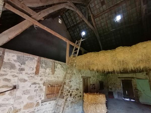 Ancien corps de ferme sur plus d’un hectare !