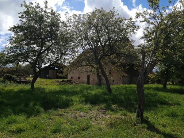 Ancien corps de ferme sur plus d’un hectare !