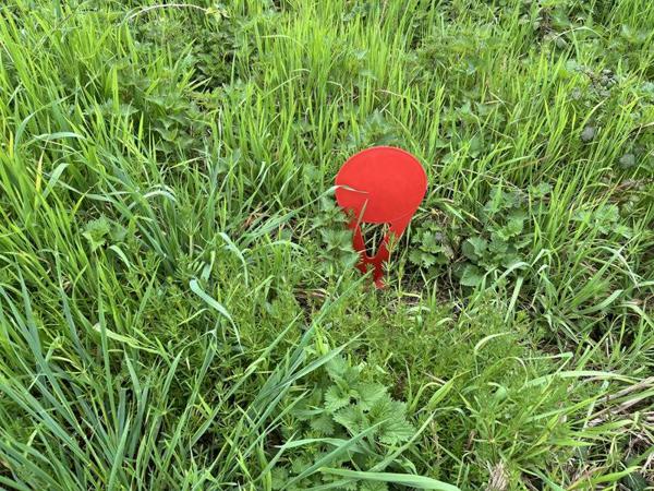 Terrain à vendre |  Angoulême |  920 m²