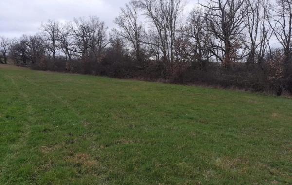 Vente Terrain Aubiet   