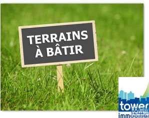 Terrain
