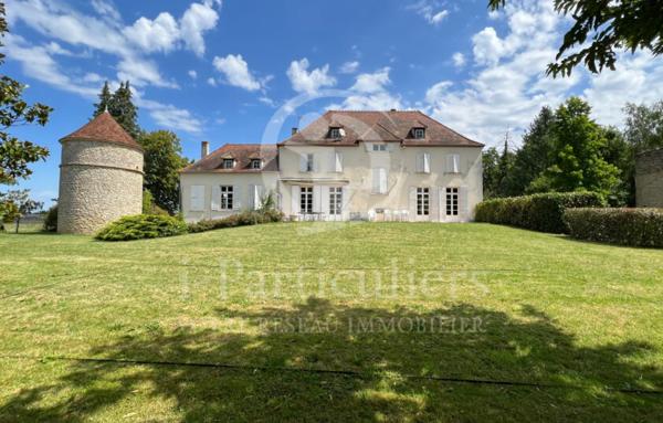 Château de 313m2 avec 6 chambres - Decize