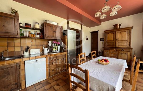 Château de 313m2 avec 6 chambres - Decize