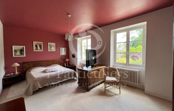 Château de 313m2 avec 6 chambres - Decize