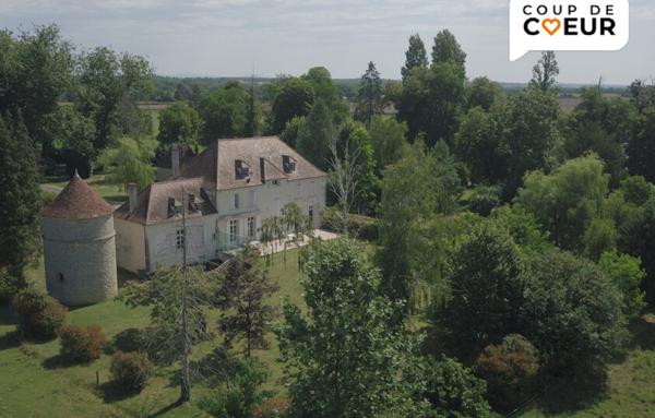 Château de 313m2 avec 6 chambres - Decize