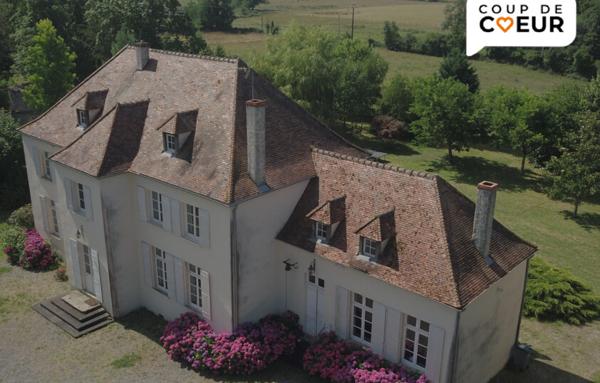 Château de 313m2 avec 6 chambres - Decize