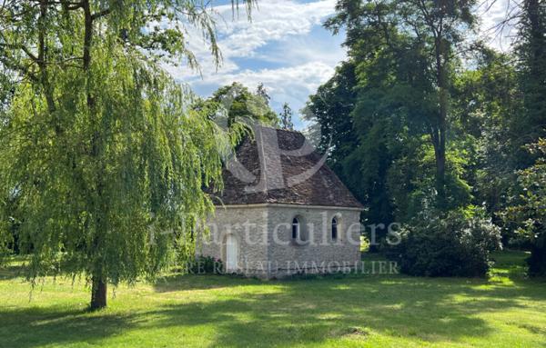 Château de 313m2 avec 6 chambres - Decize