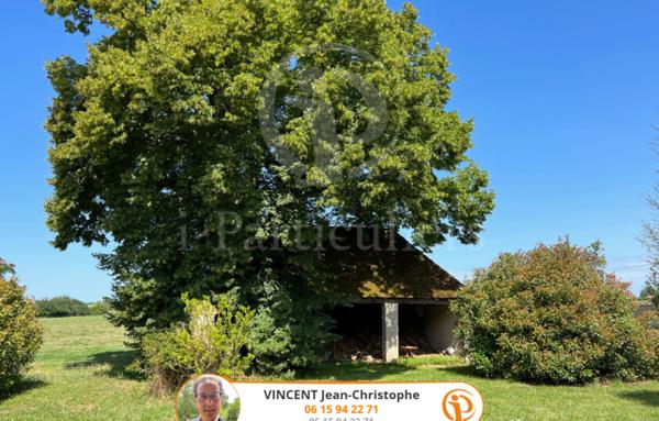 Château de 313m2 avec 6 chambres - Decize