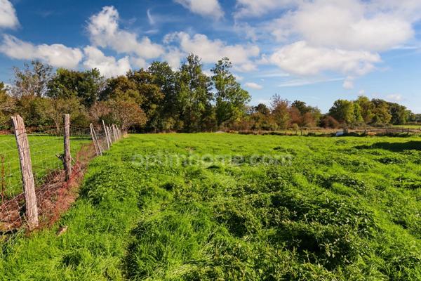 GRANGE 165 m² environ + STABULATION 141 m² + Dépendances sur Parcelle de 4292 m² - 87190 SAINT LEGER MAGNAZEIX