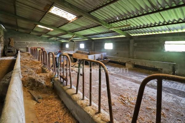 GRANGE 165 m² environ + STABULATION 141 m² + Dépendances sur Parcelle de 4292 m² - 87190 SAINT LEGER MAGNAZEIX