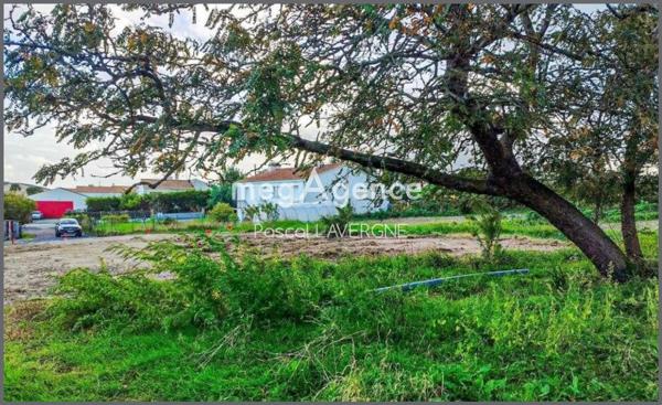 Terrain à SAINT-HILAIRE-DE-RIEZ, 85270 - 436m²