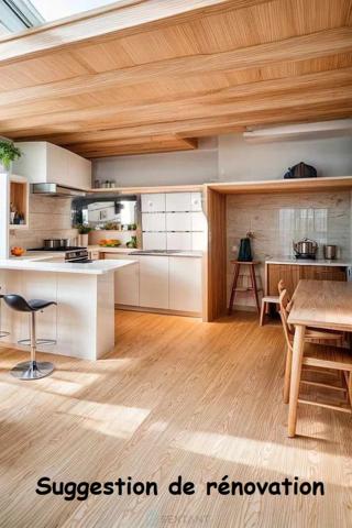 IDEAL INVESTISSEURS OU PRIMO ACCEDANTS MIREFLEURS