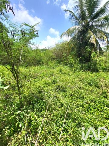 Maison à vendre 4 pièces 65 m² Port-Louis