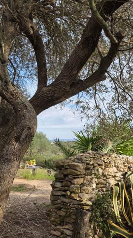Propriete d'exception à Bonifacio