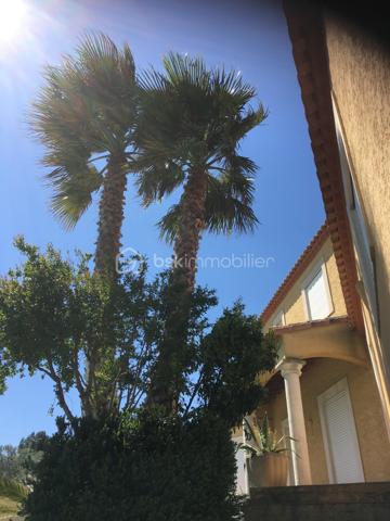 Narbonne - Quartier recherché Haut de Crabit - Élégante villa familiale de 9 pièces avec vaste terrain paysagé et piscine à débordement
Dans un environnement résidentiel prisé, à proximité immédiate du sentier de la Narbonnaise et à quelques minutes du centre-ville, découvrez cette superbe villa R+1 de 202 m² habitables, alliant confort, volumes généreux et prestations de qualité. Au rez-de-chaussée, un vaste espace de vie lumineux de plus de 60 m² accueille un salon-séjour avec cuisine ouverte aménagée et équipée, idéal pour recevoir. Trois chambres, un bureau, une salle de bain avec baignoire balnéo, un dressing et une buanderie complètent ce niveau.  À l’étage, une grande mezzanine ouvre sur une chambre supplémentaire de belle taille et une salle d’eau, offrant un espace parfait pour les invités ou un coin détente. En sous-sol, un garage de 63 m² communiquant permet le stationnement de plusieurs véhicules et un espace de rangement confortable. À l’extérieur, le terrain clos et paysagé de 2 556 m² abrite une superbe piscine à débordement au sel, deux terrasses dont une sous pergola, un coin potager clos, et de nombreux espaces arborés invitant à la détente.  La propriété bénéficie de deux entrées distinctes avec une capacité minimum de trois stationnements extérieurs.  Coté technique, chauffage/rafraîchissement au sol pour un confort optimal.  ( nourrice et pompe échangée en 2023 ) Assainissement individuel conforme, contribuant à une gestion économique de l’eau. Vide sanitaire sous toute l'habitation trappes de visites des combles aux deux niveaux. Fermeture volets électriques centralisée.  Une villa élégante, lumineuse et fonctionnelle, idéale pour une famille en quête d’espace et de sérénité, ou pour les amateurs de nature et de confort à proximité de toutes commodités. Un bien rare sur le secteur, à découvrir sans tarder.  Contactez-nous pour organiser une visite privée sur rendez vous uniquement.