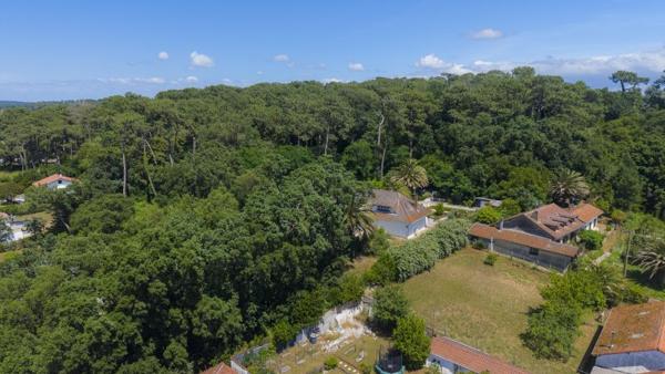 Vente / Terrain constructible
