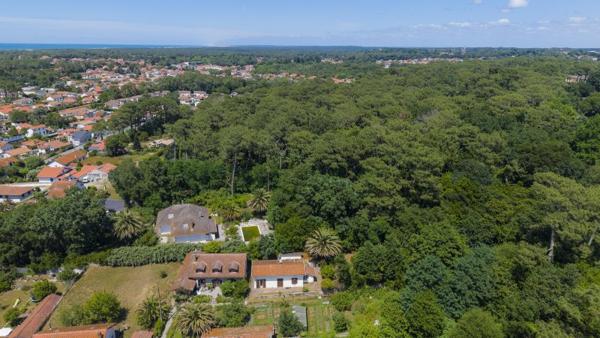 Vente / Terrain constructible