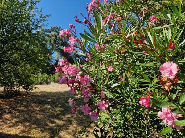 Vente / Terrain constructible