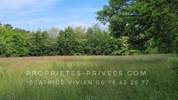 A la campagne, au calme, autour de Rouffignac : Maison de style périgourdin,  3-4 chambres. 3ha :Parc, bois et prés autour