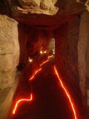 Carrières-sur-Seine (78420) CAVE A VIN POUR PROFESSIONNEL